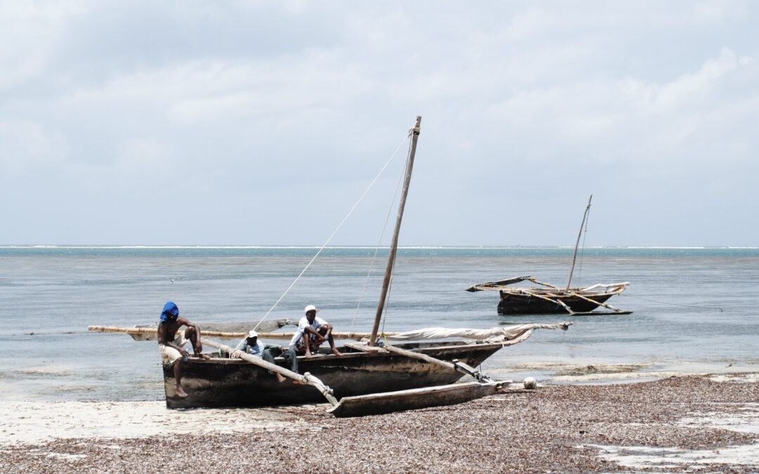 Tout connaître sur Mombasa