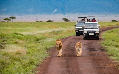 Choisir le Kenya comme destination de vacances