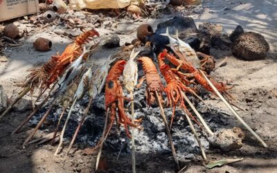 BARBECUE SUR LA PLAGE