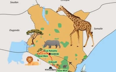 Faire un safari au Kenya, quels parcs choisir ?